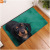 EBay Amazon E-Commerce New Popular Floor Mat Door Mat European and American Flannel 3D Cute Cartoon Dog Door Mat