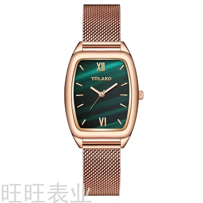Factory in Stock Foreign Trade New Square Small Green Watch Ladies Watch Women's Watch Milan with Net Quartz Watch