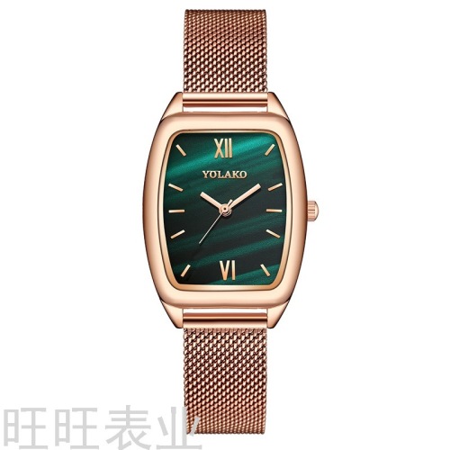 Factory in Stock Foreign Trade New TikTok Square Small Green Watch Ladies Watch Women‘s Watch Milan with Net Quartz Watch