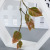 Artificial Flower Branch Accessories Two-Color Leaf Plant Realistic and Clear Texture Two-Color Leaf Plant Customizable Factory Direct Supply