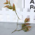 Artificial Flower Branch Accessories Two-Color Leaf Plant Realistic and Clear Texture Two-Color Leaf Plant Customizable Factory Direct Supply