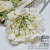 DIY Hydrangea Head Artificial Flower Wall Material Flower Arrangement Fake Flower Silk Flower Ornament Photography Wedding Hot-Selling New Arrival