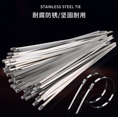 304 Stainless Steel Ribbon Self-Locking Metal Tie 4.6mm Outdoor Self-Locking Marine Tie Wire Tie Wire