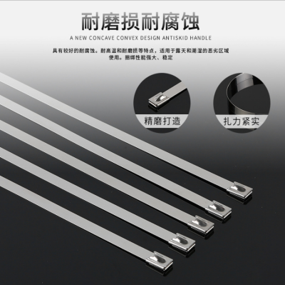 Self-Locking 4.6~16mm304 White Steel Self-Locking Metal Marine Black Plastic Spraying Stainless Steel Ribbon Cable Bridge