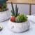 Nordic Minimalist Marble Gold Pattern Ceramic Flower Pot Dining Table Living Room Balcony Courtyard Desktop Succulent Bonsai Decorations