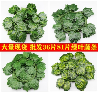 Artificial Grape Leaves Fake Flower Rattan and Vine Plant Leaves Green Leaf Water Pipe Ceiling Decorative Plastic Green Radish Winding
