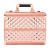 Internet Hot New Rose Gold Large Two-Layer Four-Box Cosmetic Case Nail Beauty Box Tattoo Box Storage Box