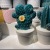 Ceramic Crafts Cactus Home Ornament and Decoration Three-Dimensional Handmade Fake Flower Pot