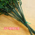 Gardening Flower Stem Plastic Coated Green Flat Fine Soft Binding Cable Wire DIY Iron Wire Vines Garden Gardening Plant Strapping Tape