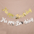 INS Internet Celebrity One-Piece Happy Birthday Paper Flower Gilding Birthday Pulling Banner Banner Baby Full-Year Hundred Days Decoration