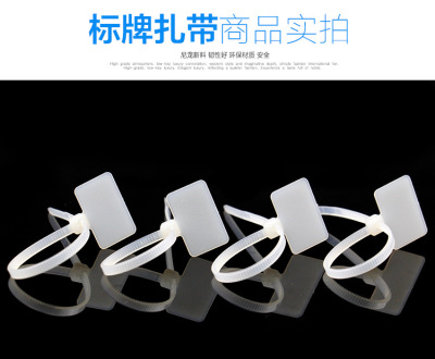Nylon Label Cable Tie 3x100 Network Cable Identification Cable Tie Line Sign Strap Seal Seal Sign