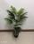 Nordic Simulation Plant Pot Areca Palm Simulation Anemone Tree