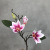 3D Silk Magnolia Branch Artificial Flowers Pink High Quality Fake Flower for Wedding Decorate Home Party Decoration Acce
