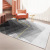 Modern Minimalist Style Living Room Carpet Floor Mat Geometric Carpet Printed Carpet Bedroom Bedside Nordic Carpet