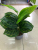Nordic Greenery Artificial Monstera Leaf Small Pot Plant Watermelon Pineapple Yellow Edge Leaf Office Desk Surface Panel Decoration