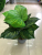 Nordic Greenery Artificial Monstera Leaf Small Pot Plant Watermelon Pineapple Yellow Edge Leaf Office Desk Surface Panel Decoration