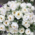 Custom 35cm artificial flower ball centerpieces peonies flower row arrangement supply decor wedding arch table flower