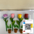 Creative Stationery Beautiful Flower Bud Flower Pot Flower Pen Advertising Desktop Pen Customized Rose