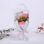 Mother's Day Gift Wholesale Transparent PVC Gift Box 3 Carnation Simulation Soap Flower Teacher's Day Cross-Border