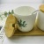 Household Japanese-Style Seasoning Box Kitchen Ceramic Seasoning Jar Chili Oil Can Green Leaf Wooden Lid Four-Piece Kitchen Supplies