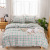 Amazon Simple Muji Style Plaid Strip down Quilt Cover Good Bedding Three Or Four Piece Suit in Stock Wholesale