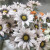 Artificial Flower Bouquet Sunflower Daisy Wedding Bouquet Silk Flower Arrangement Materials Photo Props Home Party Decor