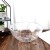 Transparent Glass Fruit Salad Bowl Plate Household Large Cute Japanese and Nordic Style Bird's Nest Dessert Bowl