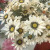 Artificial Flower Bouquet Sunflower Daisy Wedding Bouquet Silk Flower Arrangement Materials Photo Props Home Party Decor