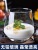 Green Apple Glass Transparent Thick and High Temperature Resistant Tea Cup Customizable Ins High-Profile Figure Milk Coffee Cup