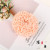 Fluorescent Hair Band Female Graceful and Cute Hair Band Simple Luminous Hair Ties/Hair Bands Head Rope Bun Hair Ornament