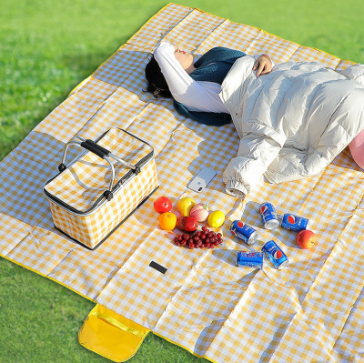 Picnic Mat Spring Outing Moisture Proof Pad Picnic Blanket Outdoor Portable Waterproof Grass Picnic Floor Mat Outing Thickened Ins Style