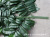 Emulational Fruit Leaf Plant Fake Leaves Walnut Leaf Geely Leaf Single Stem Shooting Home Decoration Factory Wholesale