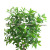 2021 Artificial Plant Pot Olive Leaf Ground Floriculture Set Decoration Hotel Landscape Background Factory Wholesale