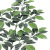Simulated Plants Leaf UV-Proof Rich Leaf Five-Fork Branch Leaf Zamioculcas Leaves Indoor and Outdoor Maple Leaf Banyan Leaf Wholesale