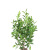2021 New Artificial Plant Mini Potted Plant Olive Leaf Green Plant Oak Bonsai Decoration Camphor Leaf Factory Wholesale