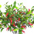 Xiang Rui Emulational Fruit Crops 1 M Pepper Pomegranate Fruit Tree MilletPepper Hollyberry Floor Living Room Home Decoration