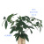 Simulation Lamination Green Plant Indoor 0.3 M New Ginger Three Fork Leaves Sun Leaves Museum Factory Wholesale