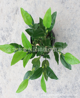 Artificial Plant Laurel Leaf Olive Leaf Green Plant Olive Fruit Fake Trees Potted Plant Ground Bonsai Table Ornaments Decoration Wholesale