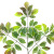 Artificial Elm Leaf Plant Leaves Fruit Leaf Fake Elm Leaf Elm Leaf Elm Leaf Decoration Daughter Wooden Leaf Straight