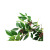 2021 New Artificial Green Plant Red Leaf 6 Fork Branch Indoor Window Living Room Ground Bonsai Decoration Factory Wholesale