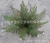 Imitate Leaves Plant Fern Leaf Potted East China Fern Leaf Reed Leaf Fake Tree Leaves Museum Engineering Wholesale