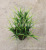 Simulation Mini Potted Wetland Green Plant Handle Beam Water Grass Leaf Belt Flowering and Fruiting Long Grass Plant Landscape Engineering Factory Wholesale