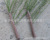 Artificial Bauhinia Grass Leaf Haloxylon Grass Desert Plant DIY Museum Rockery Water Engineering Decoration Wholesale
