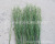 Artificial Bauhinia Grass Leaf Haloxylon Grass Desert Plant DIY Museum Rockery Water Engineering Decoration Wholesale