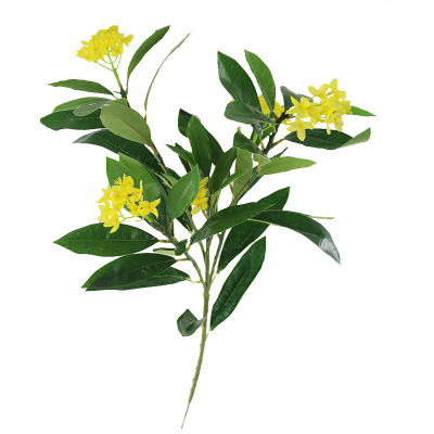 Xiang Rui Emulational Plants and Flowers Five-Fork Osmanthus Fake Leaves Silk Flower Multi-Color DIY Background Shooting Decoration Engineering Wholesale