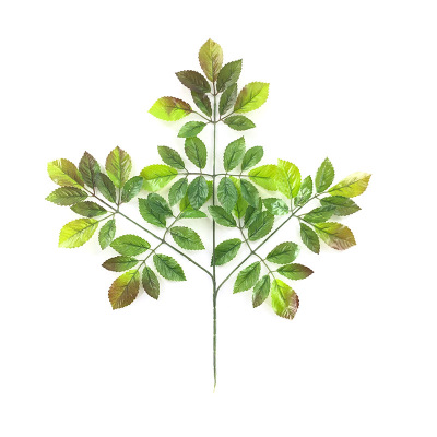 Artificial Elm Leaf Plant Leaves Fruit Leaf Fake Elm Leaf Elm Leaf Elm Leaf Decoration Daughter Wooden Leaf Straight