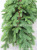 Simulation Asia Plant Leaves Qinling Fir Leaf Spruce Metasequoia Tower-Shaped Qinling Fir Leaf Xing'an Larch Wholesale