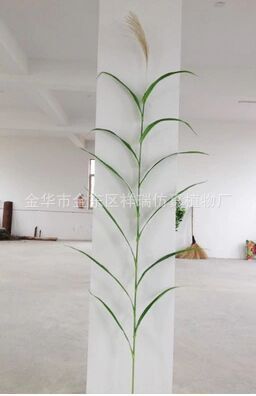 Artificial Green Plant Wet Land Evergreen Plant Reed Leaf Spring and Autumn Color Big Leaf Reed Flower and Leaf Reed Flower Dried Flower Wholesale