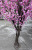 Artificial Plant Tree 3 M New Four Fork Peach Tree Decorative Fake Flower Osmanthus Silk Flower Decoration Furnishings Wholesale