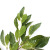 Simulation Summer Oak Plant Fake Tree Leaves Four-Fork Oak Leaf Green Bar Leaf Banyan Green Landscape Engineering Factory Wholesale